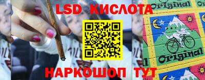гидропоника Пугачёв