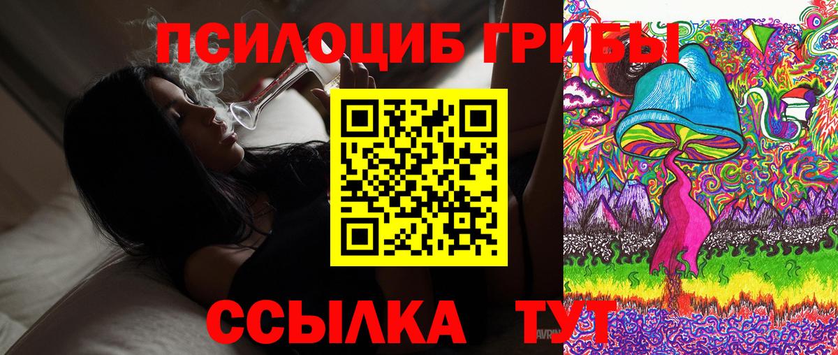 Галлюциногенные грибы прущие грибы Сердобск